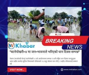 “कानेपोखरी–४ मा जन–भावनाले भरिएको धान दिवस सम्पन्न”