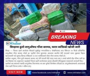 सिरहामा ७  क्विन्टल १७ किलो लागूऔषध गाँजा बरामद, घरधनी फरार